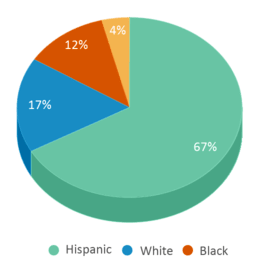 This chart displays the percentage breakdown of students of all ethnic groups in Jordan Matthews High School. This chart displays the percentage breakdown of students of all ethnic groups in Jordan Matthews High School.