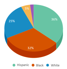 This chart displays the percentage breakdown of students of all ethnic groups in Clinton High School. This chart displays the percentage breakdown of students of all ethnic groups in Clinton High School.