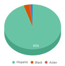 This chart displays the percentage breakdown of students of all ethnic groups in North Park Continuation High School. This chart displays the percentage breakdown of students of all ethnic groups in North Park Continuation High School.
