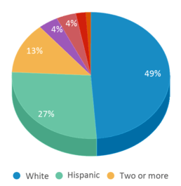 This chart displays the percentage breakdown of students of all ethnic groups in Anderson Heights Elementary School. This chart displays the percentage breakdown of students of all ethnic groups in Anderson Heights Elementary School.