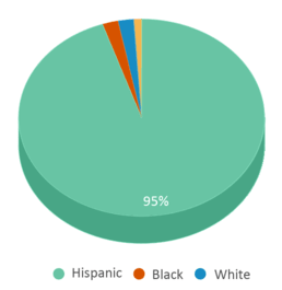 This chart displays the percentage breakdown of students of all ethnic groups in Colton High School. This chart displays the percentage breakdown of students of all ethnic groups in Colton High School.