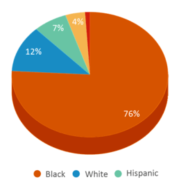 This chart displays the percentage breakdown of students of all ethnic groups in Aurelian Springs Institute Of Global Lea. This chart displays the percentage breakdown of students of all ethnic groups in Aurelian Springs Institute Of Global Lea.