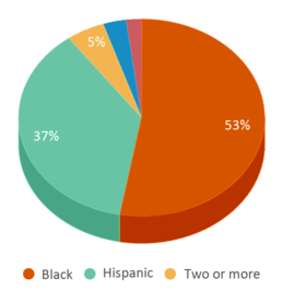 This chart displays the percentage breakdown of students of all ethnic groups in James Martin Middle School. This chart displays the percentage breakdown of students of all ethnic groups in James Martin Middle School.