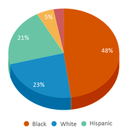 This chart displays the percentage breakdown of students of all ethnic groups in Hopewell High School. This chart displays the percentage breakdown of students of all ethnic groups in Hopewell High School.