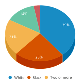 This chart displays the percentage breakdown of students of all ethnic groups in Havelock Elementary School. This chart displays the percentage breakdown of students of all ethnic groups in Havelock Elementary School.