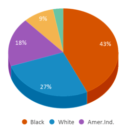 This chart displays the percentage breakdown of students of all ethnic groups in Laurel Hill Elementary School. This chart displays the percentage breakdown of students of all ethnic groups in Laurel Hill Elementary School.