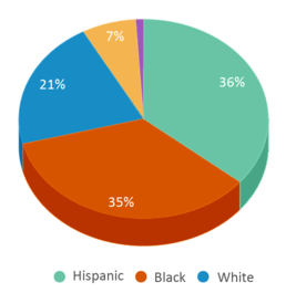 This chart displays the percentage breakdown of students of all ethnic groups in Stantonsburg Elementary School. This chart displays the percentage breakdown of students of all ethnic groups in Stantonsburg Elementary School.