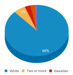 This chart displays the percentage breakdown of students of all ethnic groups in Highland Acres Elementary School. This chart displays the percentage breakdown of students of all ethnic groups in Highland Acres Elementary School.