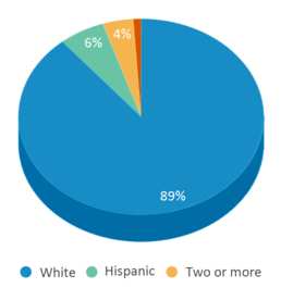 This chart displays the percentage breakdown of students of all ethnic groups in Geneva High School. This chart displays the percentage breakdown of students of all ethnic groups in Geneva High School.