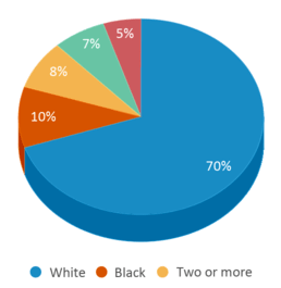 This chart displays the percentage breakdown of students of all ethnic groups in Sylvania Timberstone Junior High School. This chart displays the percentage breakdown of students of all ethnic groups in Sylvania Timberstone Junior High School.
