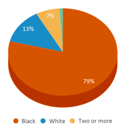 This chart displays the percentage breakdown of students of all ethnic groups in Glenwood Elementary School. This chart displays the percentage breakdown of students of all ethnic groups in Glenwood Elementary School.