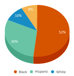 This chart displays the percentage breakdown of students of all ethnic groups in East High School. This chart displays the percentage breakdown of students of all ethnic groups in East High School.