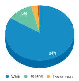 This chart displays the percentage breakdown of students of all ethnic groups in Paulding High School. This chart displays the percentage breakdown of students of all ethnic groups in Paulding High School.