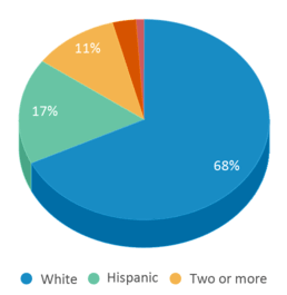 This chart displays the percentage breakdown of students of all ethnic groups in Furry Elementary School. This chart displays the percentage breakdown of students of all ethnic groups in Furry Elementary School.