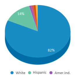 This chart displays the percentage breakdown of students of all ethnic groups in Pettisville High School. This chart displays the percentage breakdown of students of all ethnic groups in Pettisville High School.