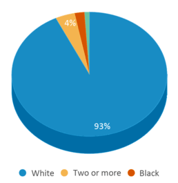 This chart displays the percentage breakdown of students of all ethnic groups in Jefferson County. This chart displays the percentage breakdown of students of all ethnic groups in Jefferson County.