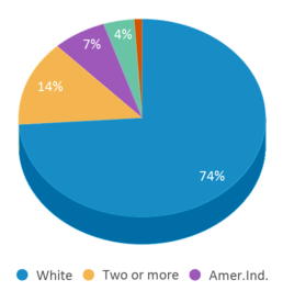 This chart displays the percentage breakdown of students of all ethnic groups in Cement Elementary School. This chart displays the percentage breakdown of students of all ethnic groups in Cement Elementary School.