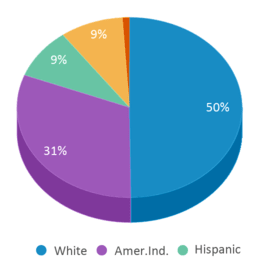 This chart displays the percentage breakdown of students of all ethnic groups in Davis Elementary School. This chart displays the percentage breakdown of students of all ethnic groups in Davis Elementary School.