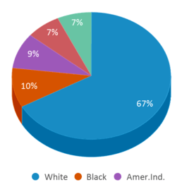This chart displays the percentage breakdown of students of all ethnic groups in Freshman Academy. This chart displays the percentage breakdown of students of all ethnic groups in Freshman Academy.