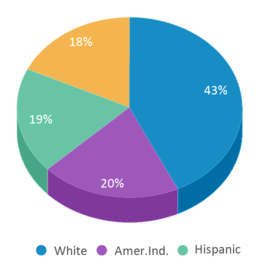 This chart displays the percentage breakdown of students of all ethnic groups in Liberty High School. This chart displays the percentage breakdown of students of all ethnic groups in Liberty High School.