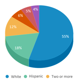This chart displays the percentage breakdown of students of all ethnic groups in Mustang High School. This chart displays the percentage breakdown of students of all ethnic groups in Mustang High School.