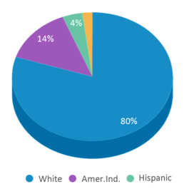 This chart displays the percentage breakdown of students of all ethnic groups in Sharon-mutual High School. This chart displays the percentage breakdown of students of all ethnic groups in Sharon-mutual High School.