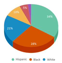 This chart displays the percentage breakdown of students of all ethnic groups in Putnam City High School. This chart displays the percentage breakdown of students of all ethnic groups in Putnam City High School.