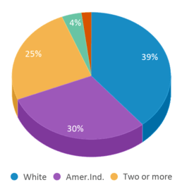 This chart displays the percentage breakdown of students of all ethnic groups in Weleetka Junior High School. This chart displays the percentage breakdown of students of all ethnic groups in Weleetka Junior High School.
