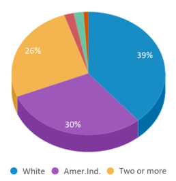 This chart displays the percentage breakdown of students of all ethnic groups in Wilson Elementary School. This chart displays the percentage breakdown of students of all ethnic groups in Wilson Elementary School.