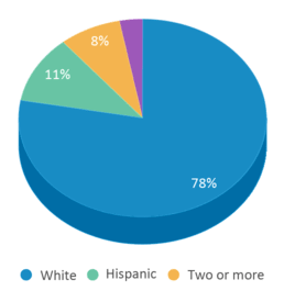 This chart displays the percentage breakdown of students of all ethnic groups in Bunker Hill Elementary School. This chart displays the percentage breakdown of students of all ethnic groups in Bunker Hill Elementary School.