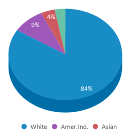 This chart displays the percentage breakdown of students of all ethnic groups in Bull Run Elementary School. This chart displays the percentage breakdown of students of all ethnic groups in Bull Run Elementary School.