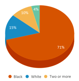 This chart displays the percentage breakdown of students of all ethnic groups in Clairton Middle School High School. This chart displays the percentage breakdown of students of all ethnic groups in Clairton Middle School High School.