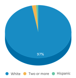 This chart displays the percentage breakdown of students of all ethnic groups in Dunbar Boro Elementary School. This chart displays the percentage breakdown of students of all ethnic groups in Dunbar Boro Elementary School.
