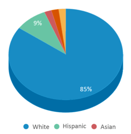 This chart displays the percentage breakdown of students of all ethnic groups in Jackson Elementary School. This chart displays the percentage breakdown of students of all ethnic groups in Jackson Elementary School.