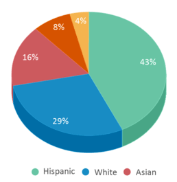 This chart displays the percentage breakdown of students of all ethnic groups in El Cerrito Middle School. This chart displays the percentage breakdown of students of all ethnic groups in El Cerrito Middle School.