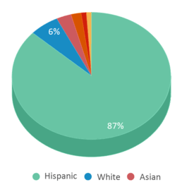 This chart displays the percentage breakdown of students of all ethnic groups in Doty (Wendy Lopour) Middle School. This chart displays the percentage breakdown of students of all ethnic groups in Doty (Wendy Lopour) Middle School.