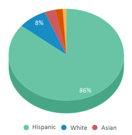 This chart displays the percentage breakdown of students of all ethnic groups in Rio San Gabriel Elementary School. This chart displays the percentage breakdown of students of all ethnic groups in Rio San Gabriel Elementary School.