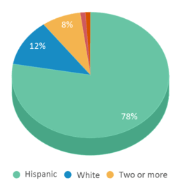 This chart displays the percentage breakdown of students of all ethnic groups in Ocean View Elementary School. This chart displays the percentage breakdown of students of all ethnic groups in Ocean View Elementary School.