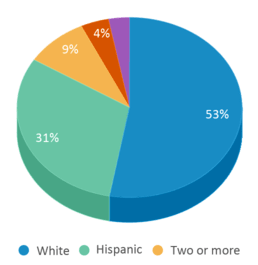 This chart displays the percentage breakdown of students of all ethnic groups in Independence Continuation. This chart displays the percentage breakdown of students of all ethnic groups in Independence Continuation.