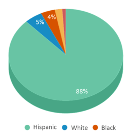 This chart displays the percentage breakdown of students of all ethnic groups in North Tamarind Elementary School. This chart displays the percentage breakdown of students of all ethnic groups in North Tamarind Elementary School.
