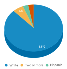 This chart displays the percentage breakdown of students of all ethnic groups in Marshall Elementary School. This chart displays the percentage breakdown of students of all ethnic groups in Marshall Elementary School.