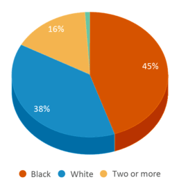 This chart displays the percentage breakdown of students of all ethnic groups in Fort Crawford School. This chart displays the percentage breakdown of students of all ethnic groups in Fort Crawford School.