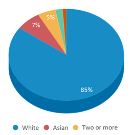 This chart displays the percentage breakdown of students of all ethnic groups in Ingomar Elementary School. This chart displays the percentage breakdown of students of all ethnic groups in Ingomar Elementary School.