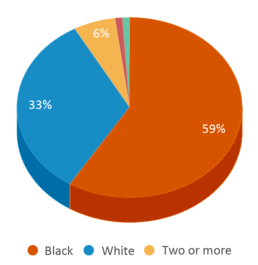 This chart displays the percentage breakdown of students of all ethnic groups in Forbes Elementary School. This chart displays the percentage breakdown of students of all ethnic groups in Forbes Elementary School.