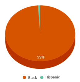 This chart displays the percentage breakdown of students of all ethnic groups in Walton Rudolph S School. This chart displays the percentage breakdown of students of all ethnic groups in Walton Rudolph S School.