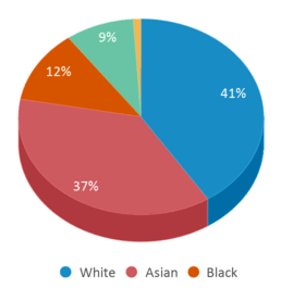 This chart displays the percentage breakdown of students of all ethnic groups in Greenberg Joseph School. This chart displays the percentage breakdown of students of all ethnic groups in Greenberg Joseph School.