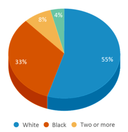 This chart displays the percentage breakdown of students of all ethnic groups in Brunson Elementary School. This chart displays the percentage breakdown of students of all ethnic groups in Brunson Elementary School.