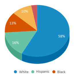 This chart displays the percentage breakdown of students of all ethnic groups in Carolina Forest Elementary School. This chart displays the percentage breakdown of students of all ethnic groups in Carolina Forest Elementary School.