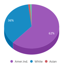 This chart displays the percentage breakdown of students of all ethnic groups in O.k. Thollehaug Middle School. This chart displays the percentage breakdown of students of all ethnic groups in O.k. Thollehaug Middle School.