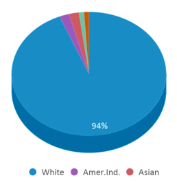 This chart displays the percentage breakdown of students of all ethnic groups in Lincoln Elementary School. This chart displays the percentage breakdown of students of all ethnic groups in Lincoln Elementary School.